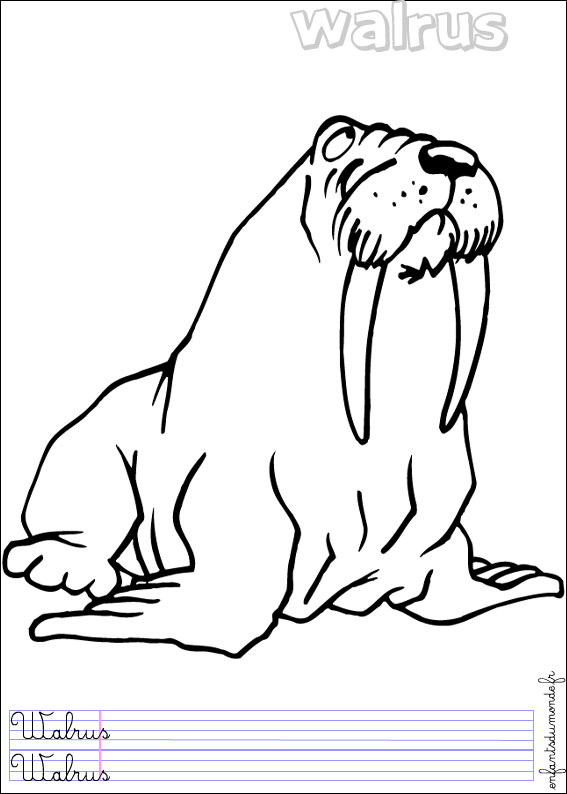 coloriage morse 1